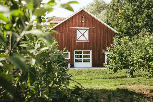 Rustic wooden barn surrounded by lush green orchard trees in rural Québec, Canada.