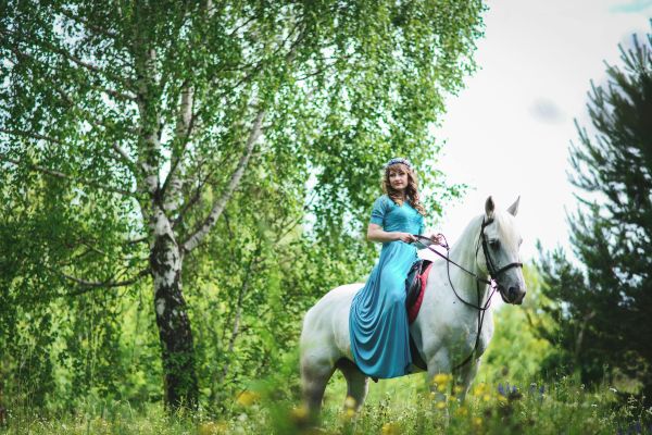 A woman in a blue dress riding a white horse through lush green countryside. Perfect for nature and outdoor themes.