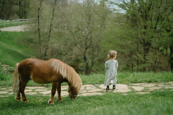 A young child stands near a pony in a lush green outdoor setting.