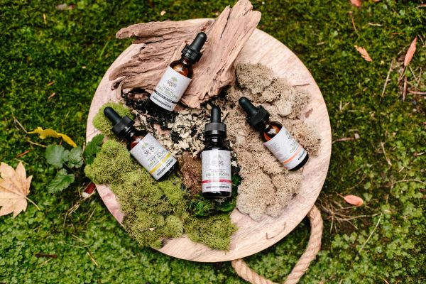 Natural CBD oil bottles with droppers on a wooden board surrounded by moss and leaves.