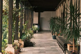 A rustic veranda featuring lush potted plants and vintage architecture, offering a serene and inviting pathway.